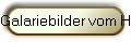 Galariebilder vom Haus
